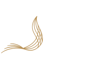 Abu Dhabi Sports Council | client logo